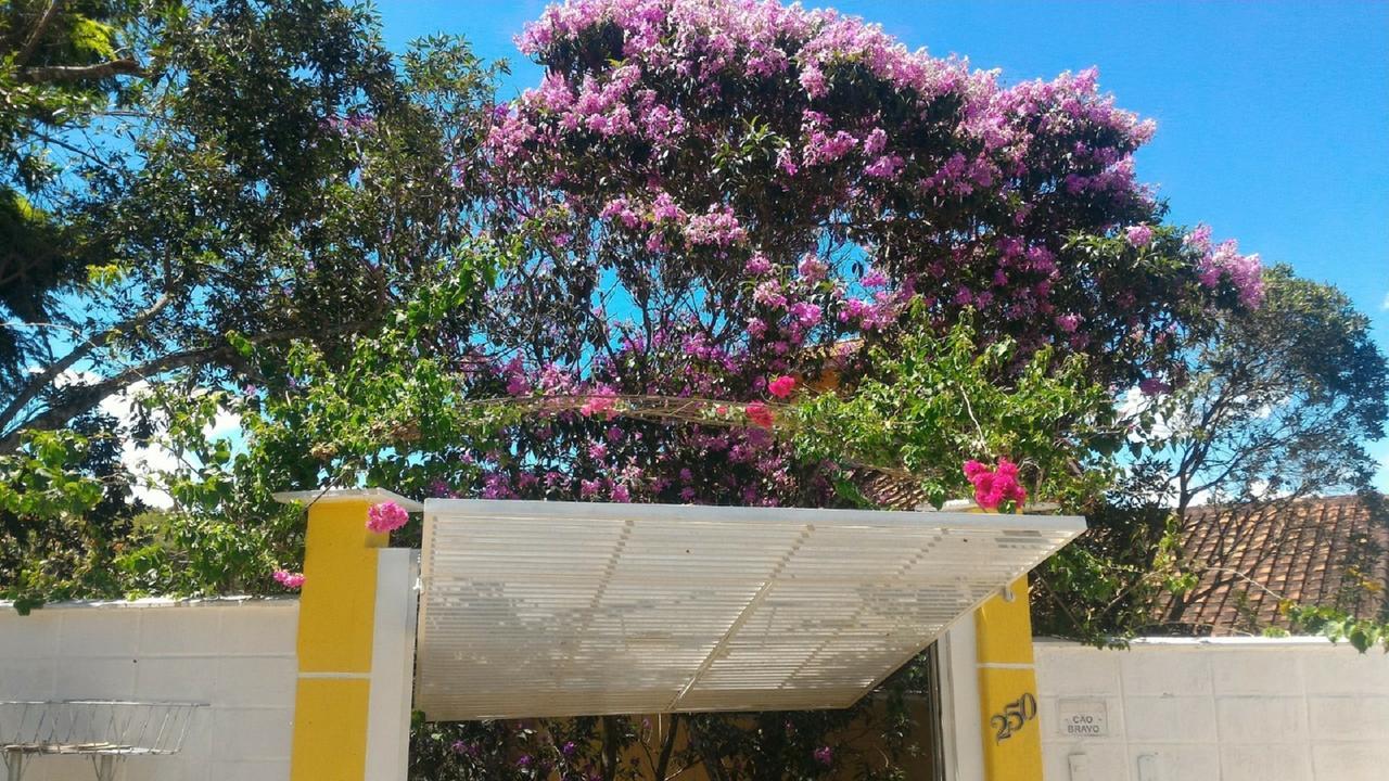 Sobrado Holiday home *